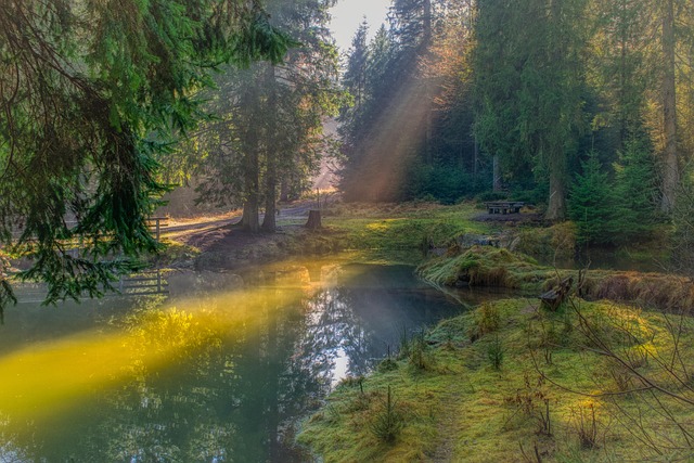 Rieslochwasserfälle Bodenmais