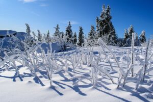 Ausflugsziele Bodenmais | Großer Arber | Ferienwohnung Bodenmais